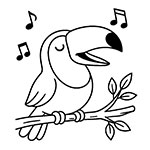 Desenhos para colorir Tucanos